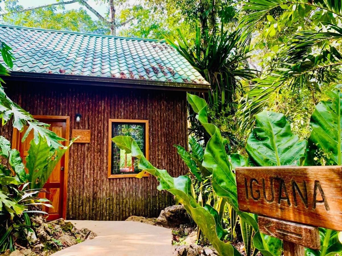 Mariposa Jungle Lodge San Ignacio Exteriér fotografie