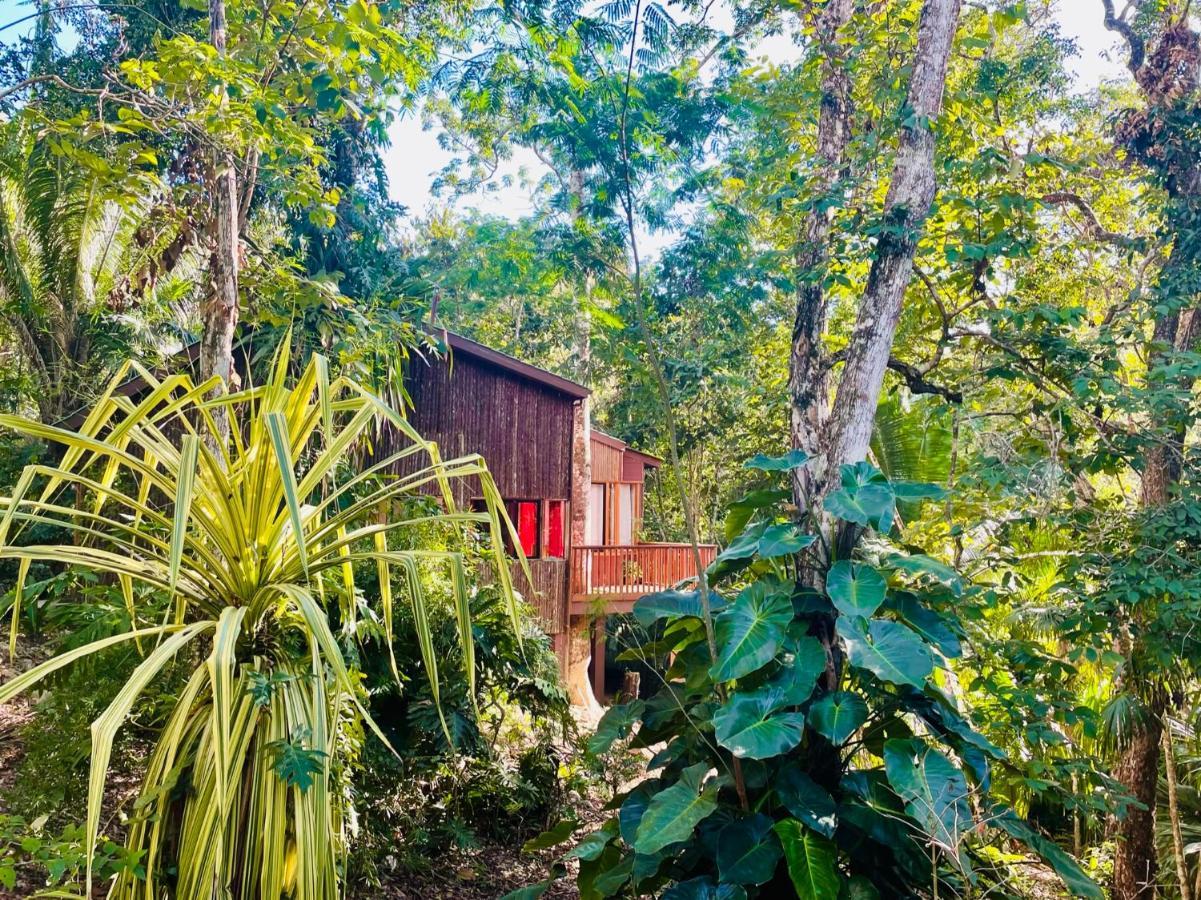 Mariposa Jungle Lodge San Ignacio Exteriér fotografie