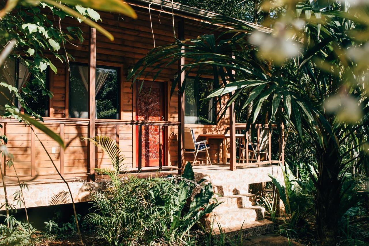 Mariposa Jungle Lodge San Ignacio Exteriér fotografie