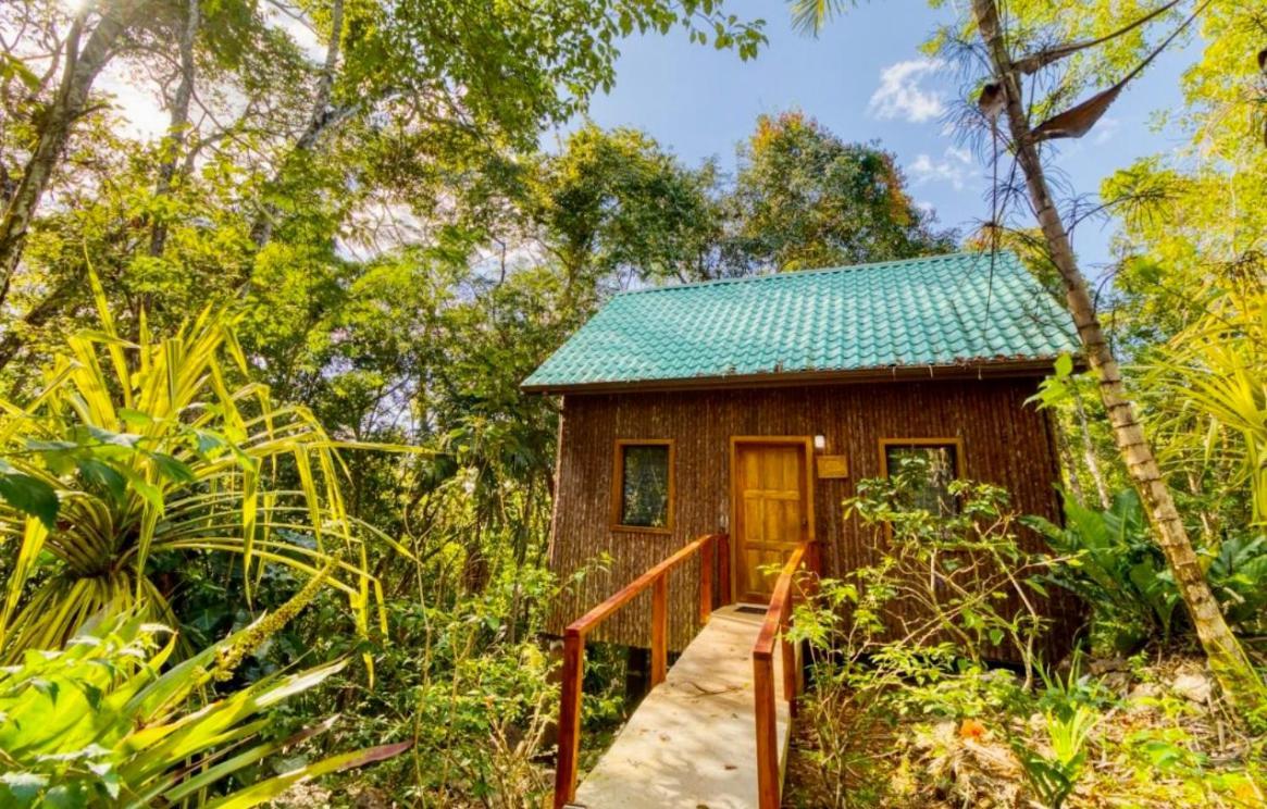 Mariposa Jungle Lodge San Ignacio Exteriér fotografie