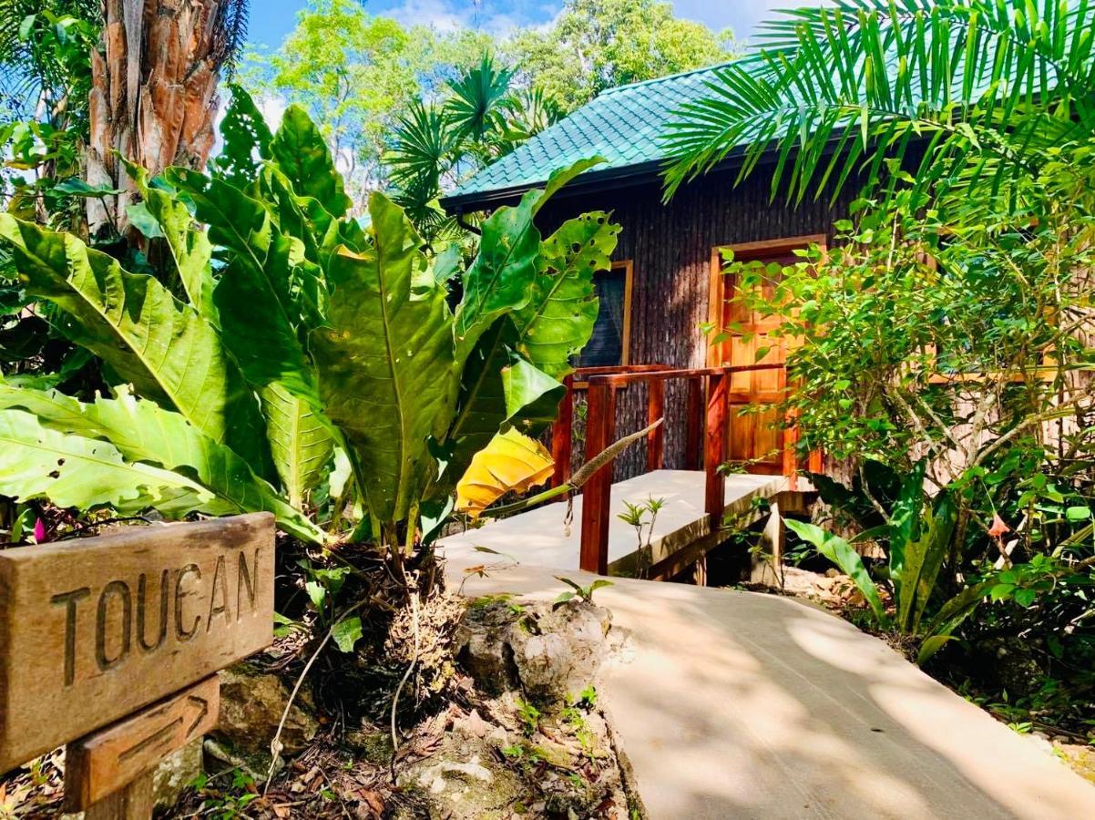 Mariposa Jungle Lodge San Ignacio Exteriér fotografie