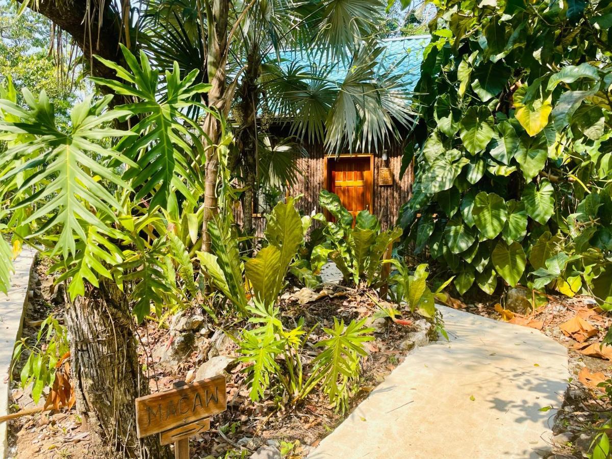 Mariposa Jungle Lodge San Ignacio Exteriér fotografie