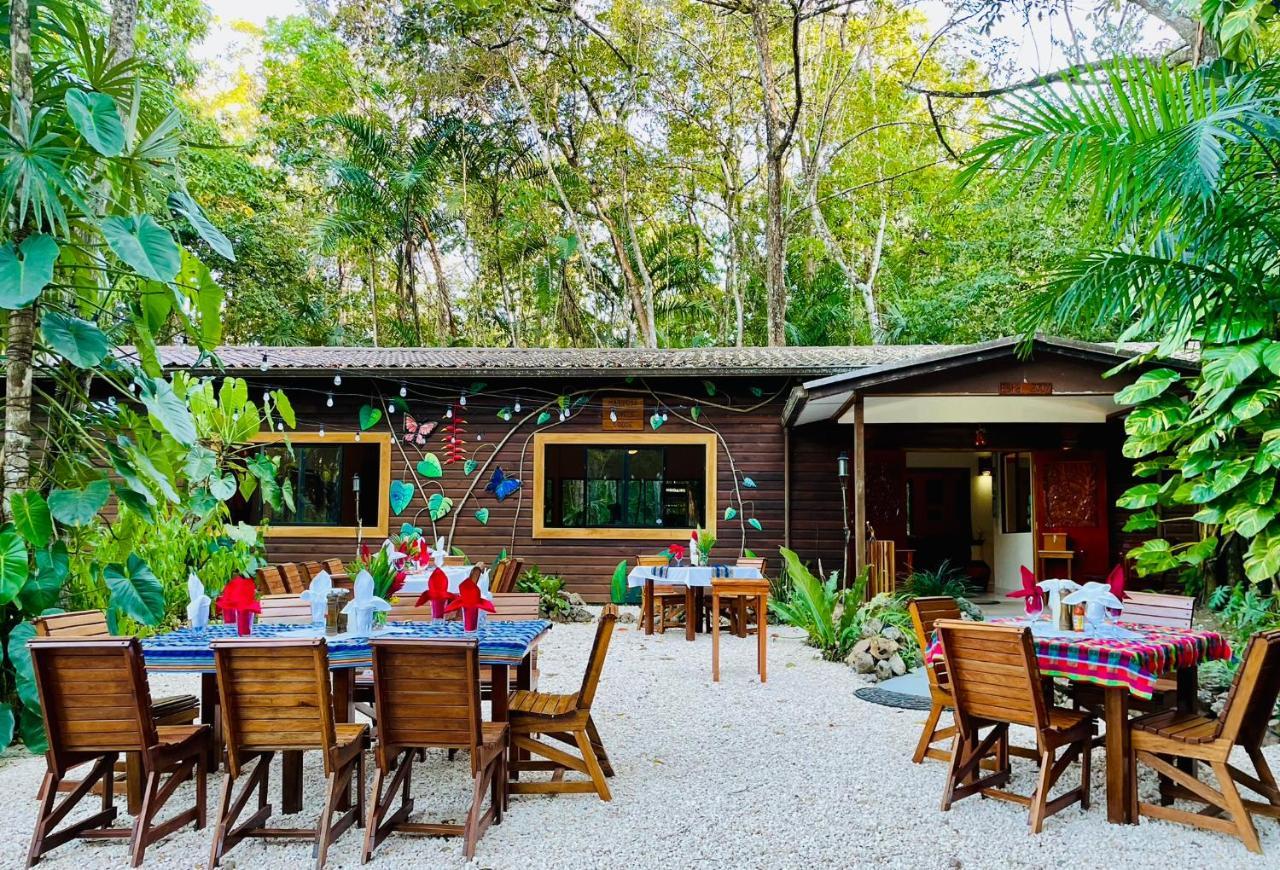 Mariposa Jungle Lodge San Ignacio Exteriér fotografie