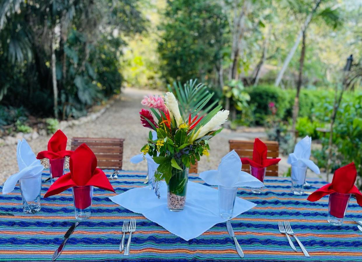Mariposa Jungle Lodge San Ignacio Exteriér fotografie