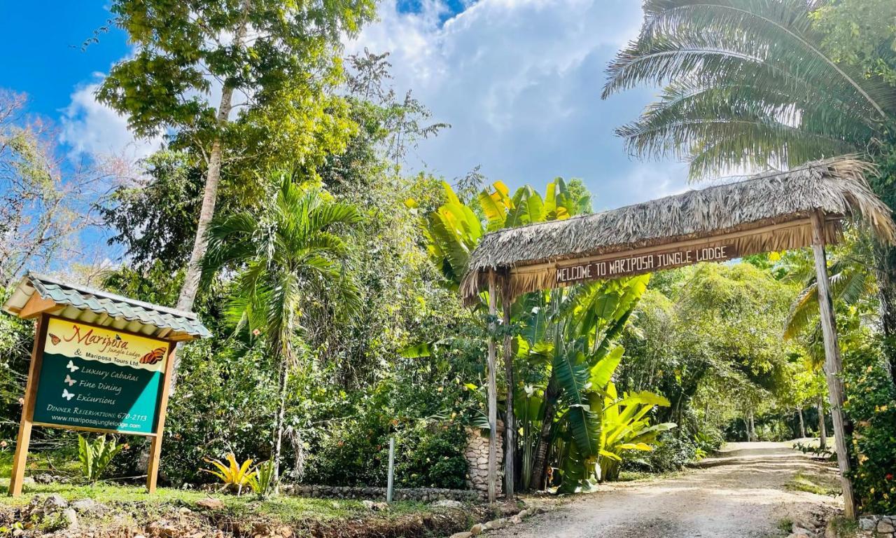 Mariposa Jungle Lodge San Ignacio Exteriér fotografie